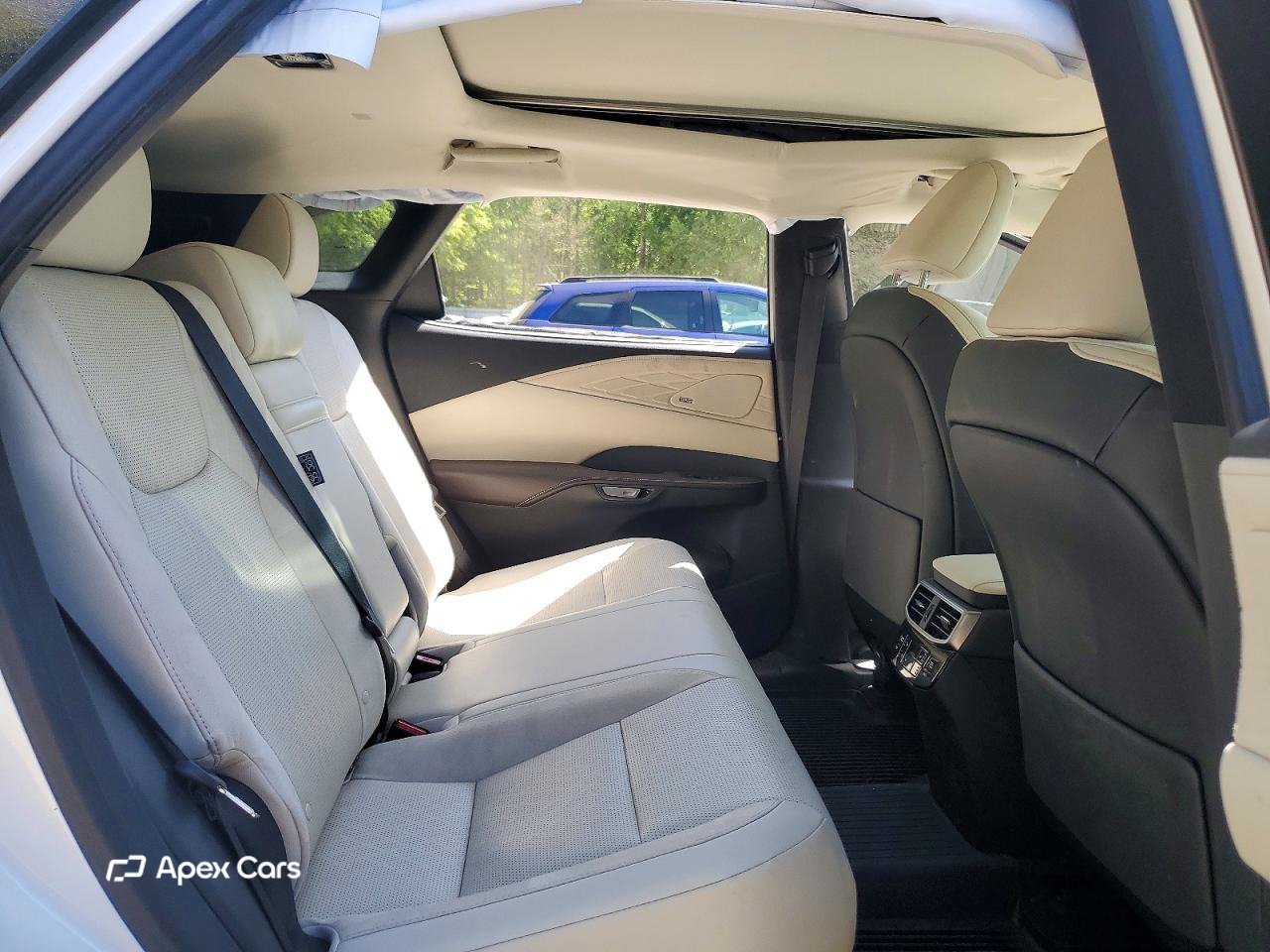 Lexus RX 2024