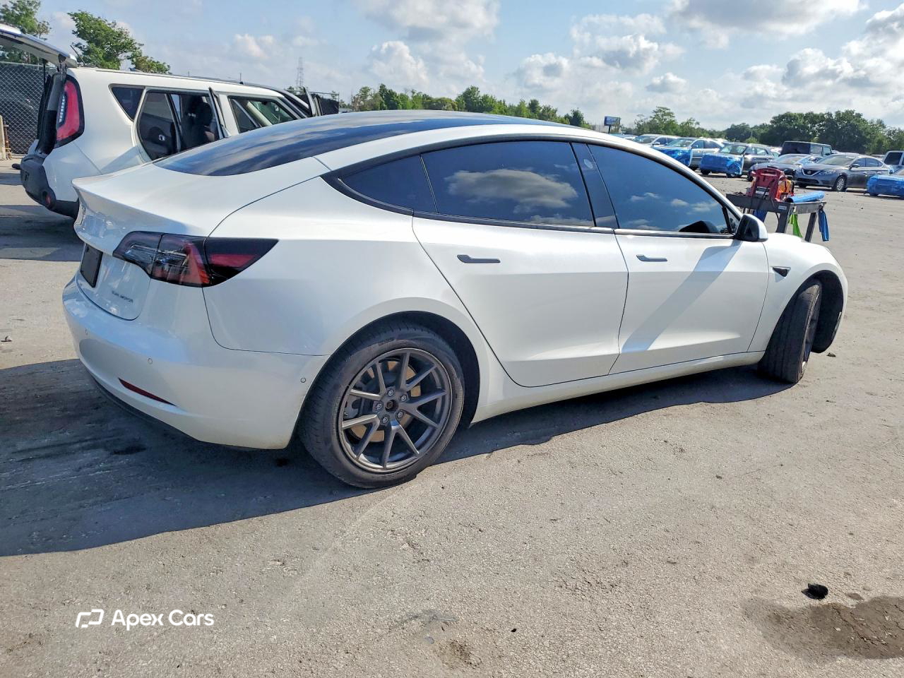 Tesla Model 3 2022