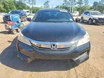 Honda Accord 2016