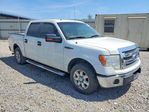 Ford F-150 2013