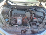 Honda Accord 2016