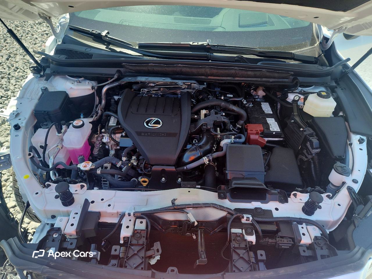 Lexus RX 2025