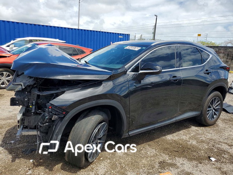 Lexus NX 2024 - Image 1 of 12