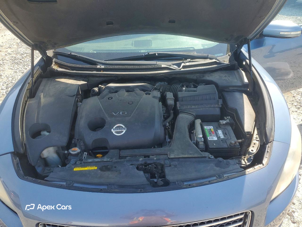 Nissan Maxima 2010