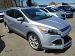 Ford Escape 2013