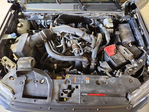 Ford Ranger 2024