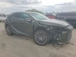 Lexus RX 2025
