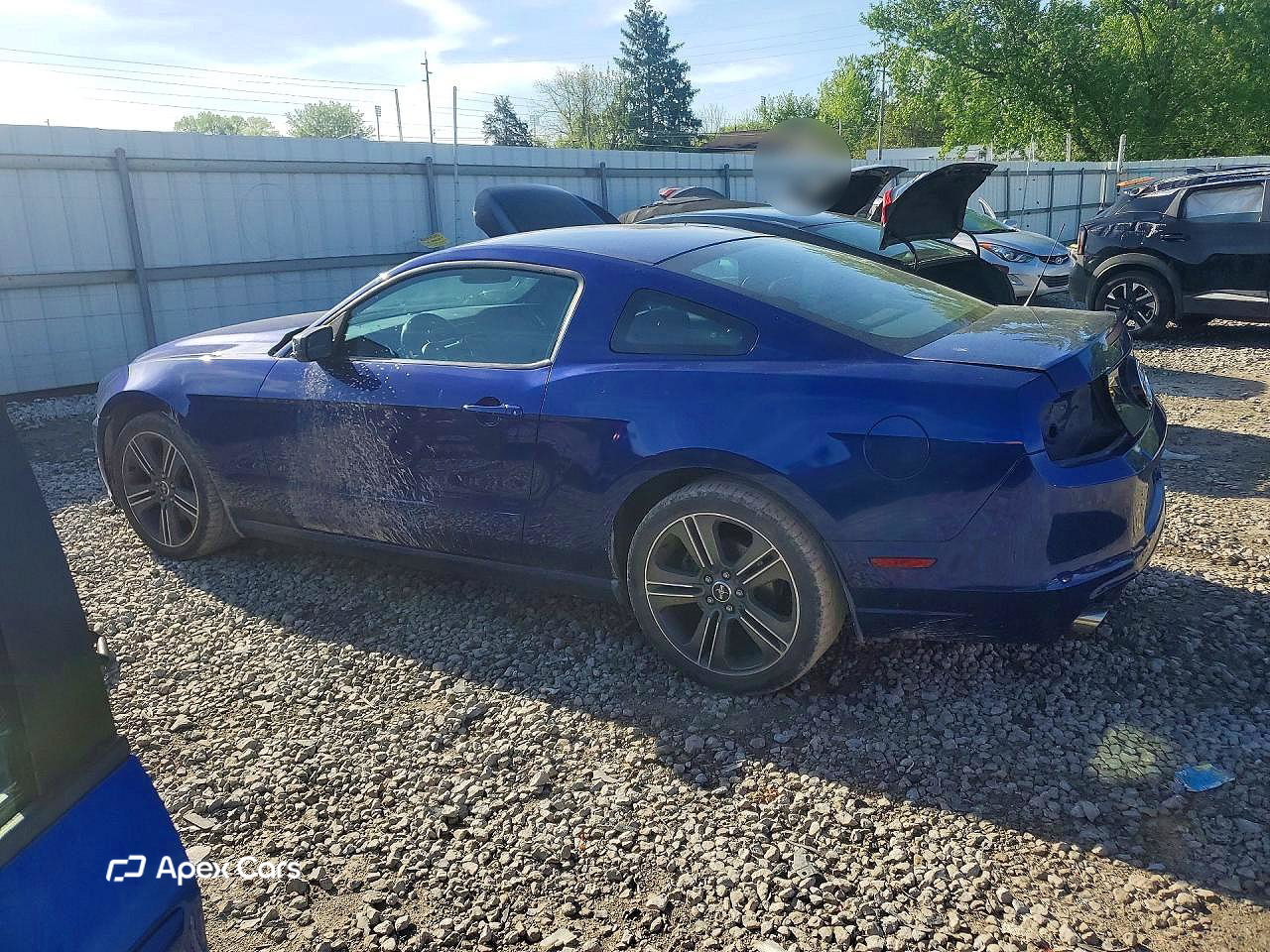 Ford Mustang 2013