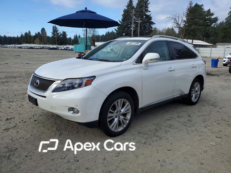 Lexus RX 2011 - Image 1 of 13