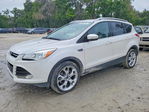 Ford Escape 2014