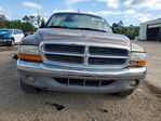 Dodge Dakota 2001