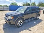 Ford Escape 2012