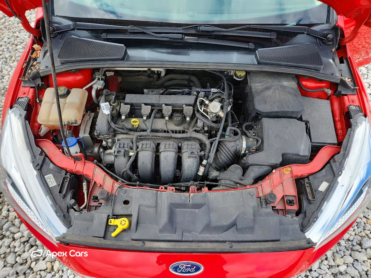 Ford Focus 2016