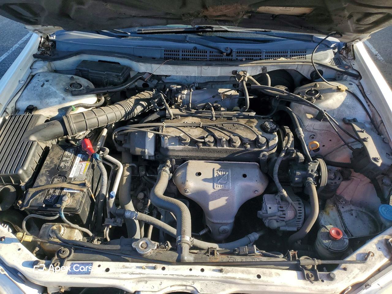 Honda  1999