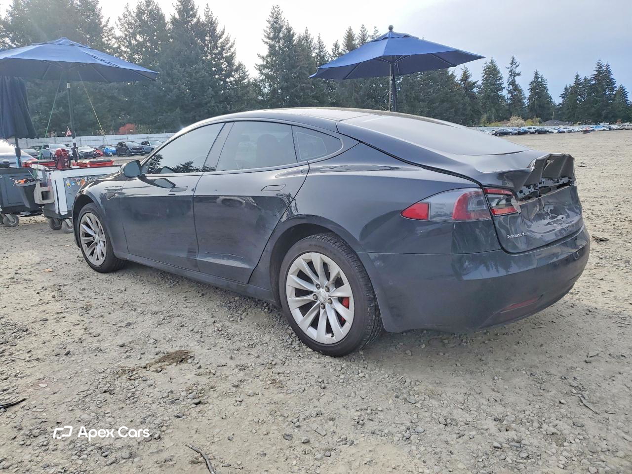 Tesla Model S 2016
