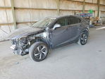 Lexus NX 2021