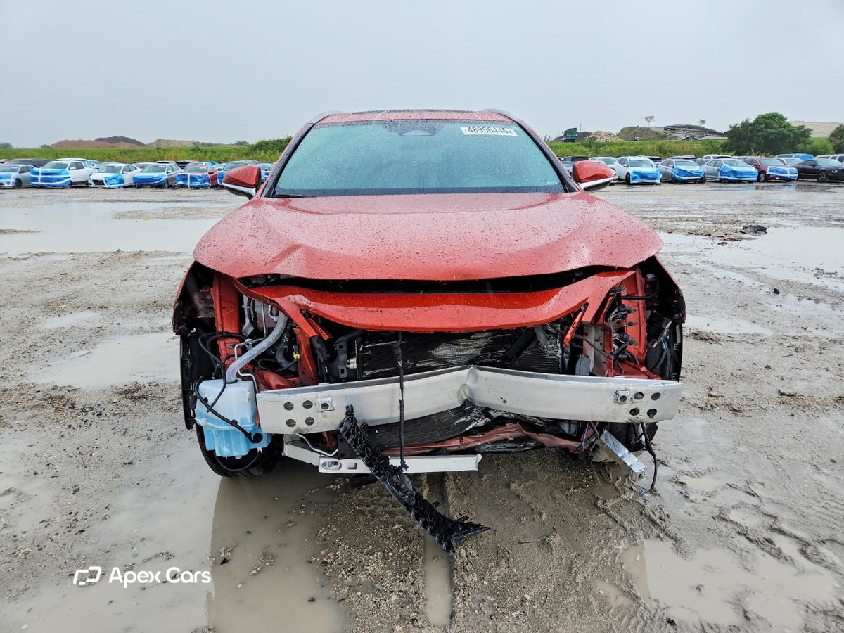 Lexus NX 2023