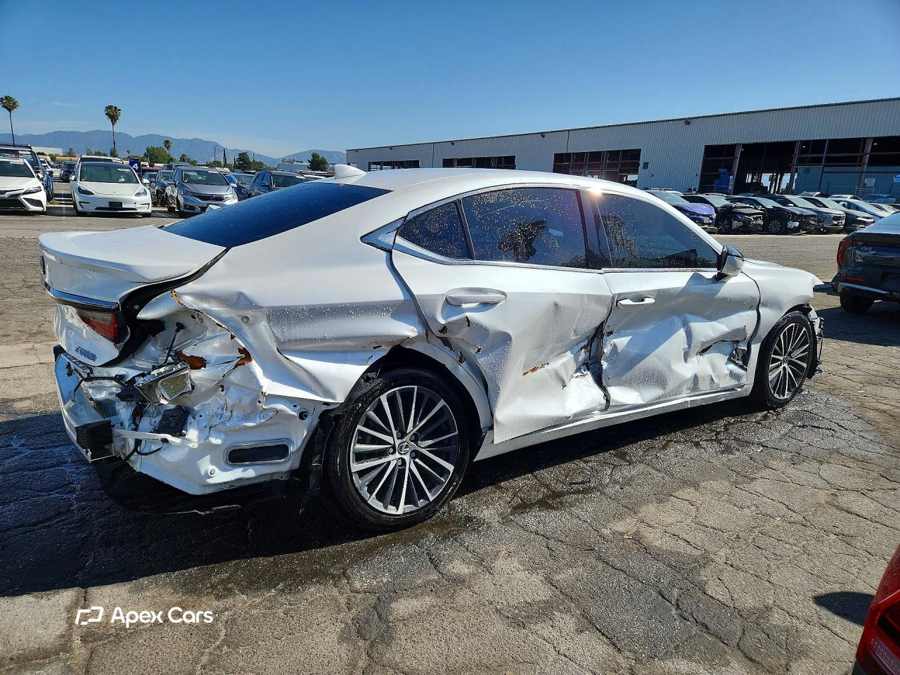Lexus ES 2024