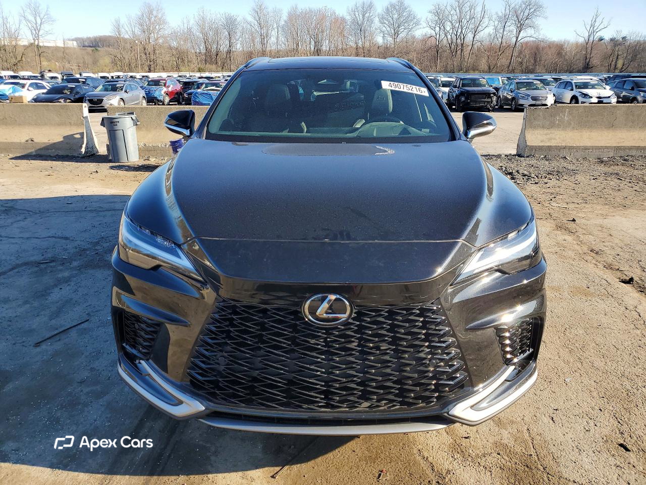 Lexus RX 2024