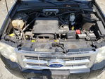 Ford Escape 2012