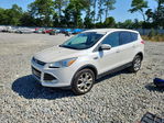 Ford Escape 2013