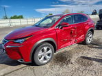 Lexus NX 2017