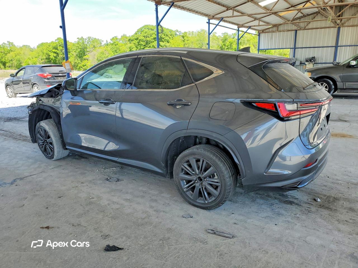 Lexus NX 2025