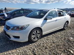 Honda Accord 2013