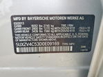 BMW X5 2013