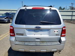 Ford Escape 2010