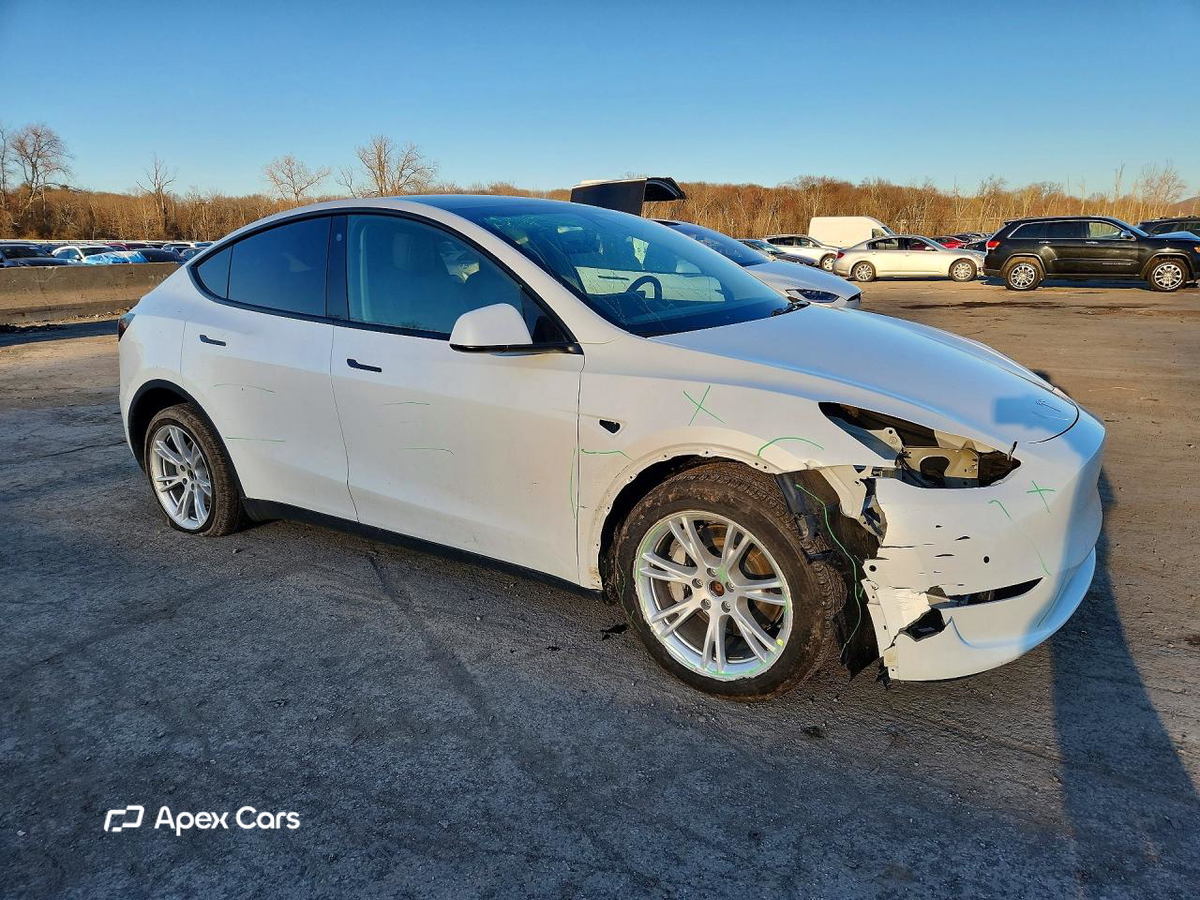 Tesla Model Y 2021