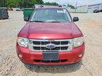 Ford Escape 2008