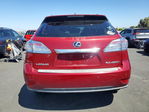 Lexus RX 2010