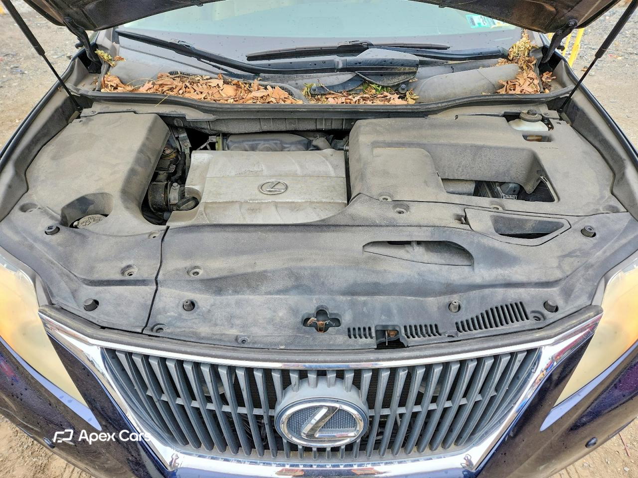 Lexus RX 2010