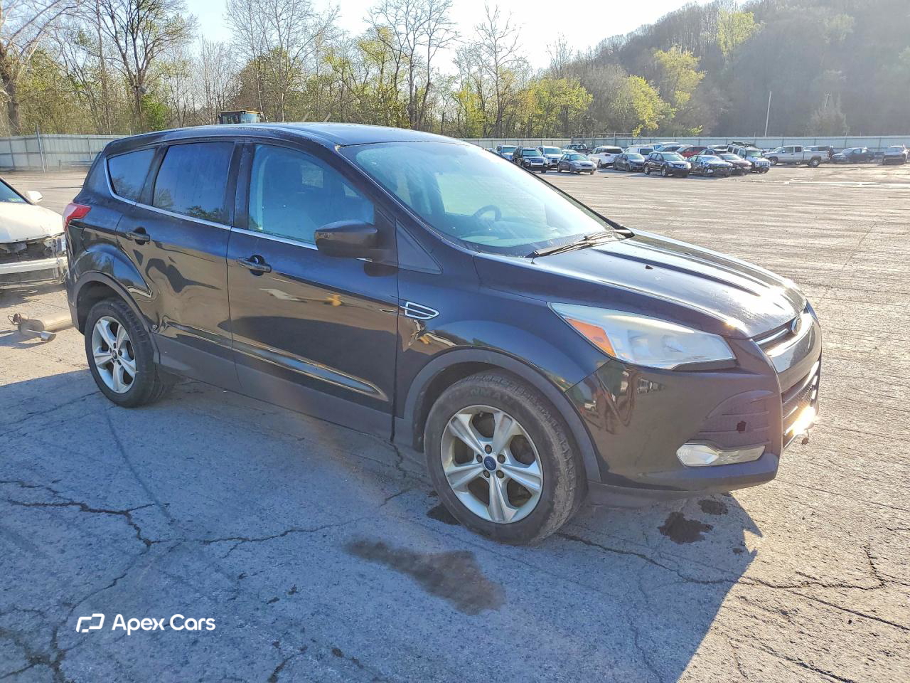 Ford Escape 2014
