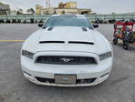 Ford Mustang 2014