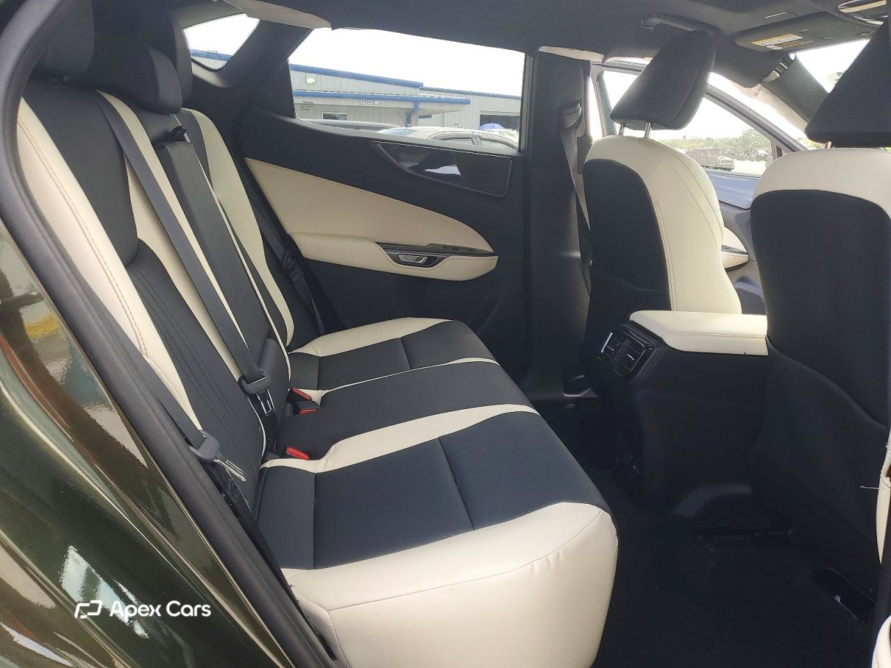 Lexus NX 2024