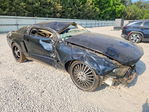 Ford Mustang 2007