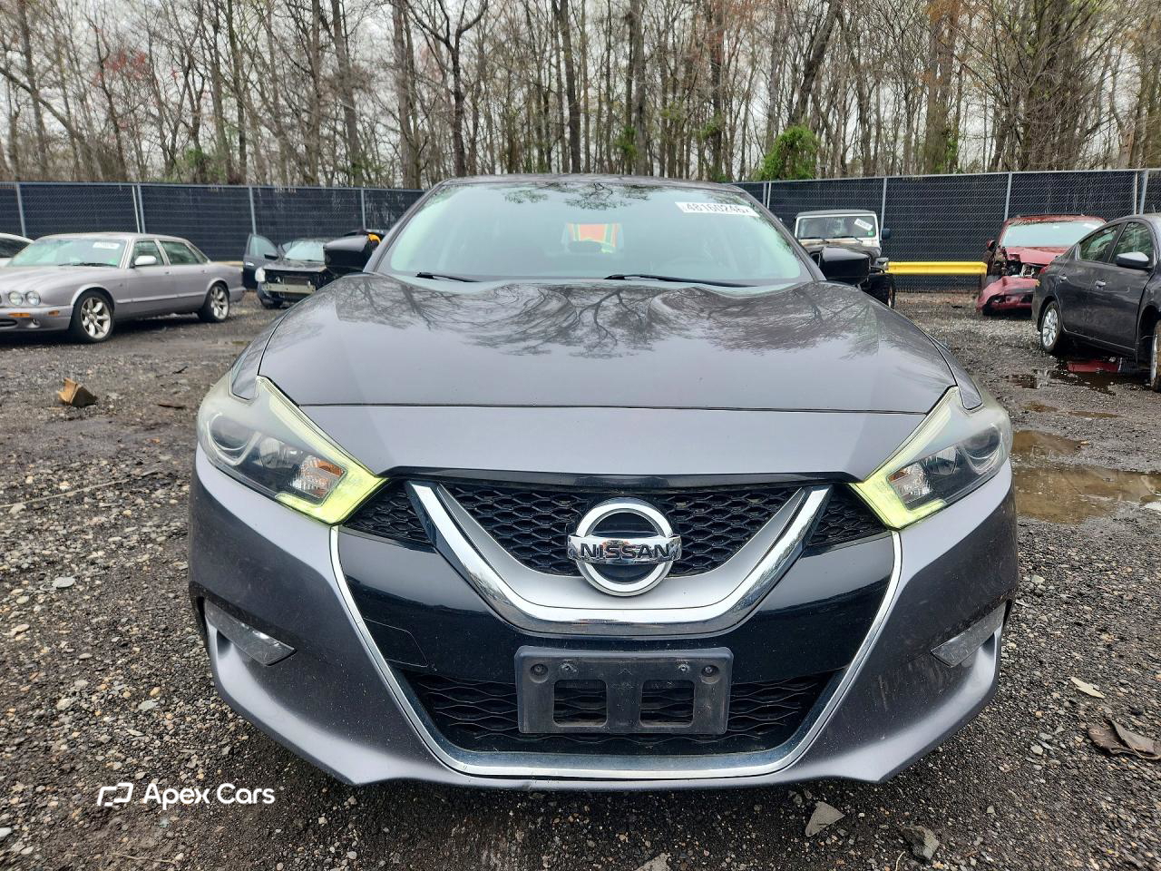 Nissan Maxima 2016