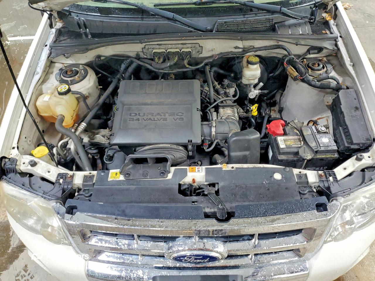 Ford Escape 2010