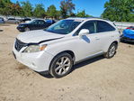 Lexus RX 2010