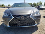 Lexus ES 2022