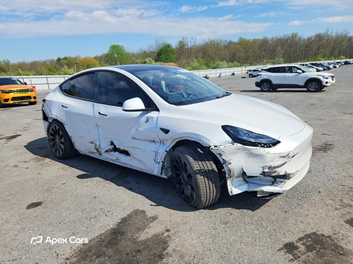 Tesla Model Y 2024