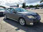 Lexus ES 2010