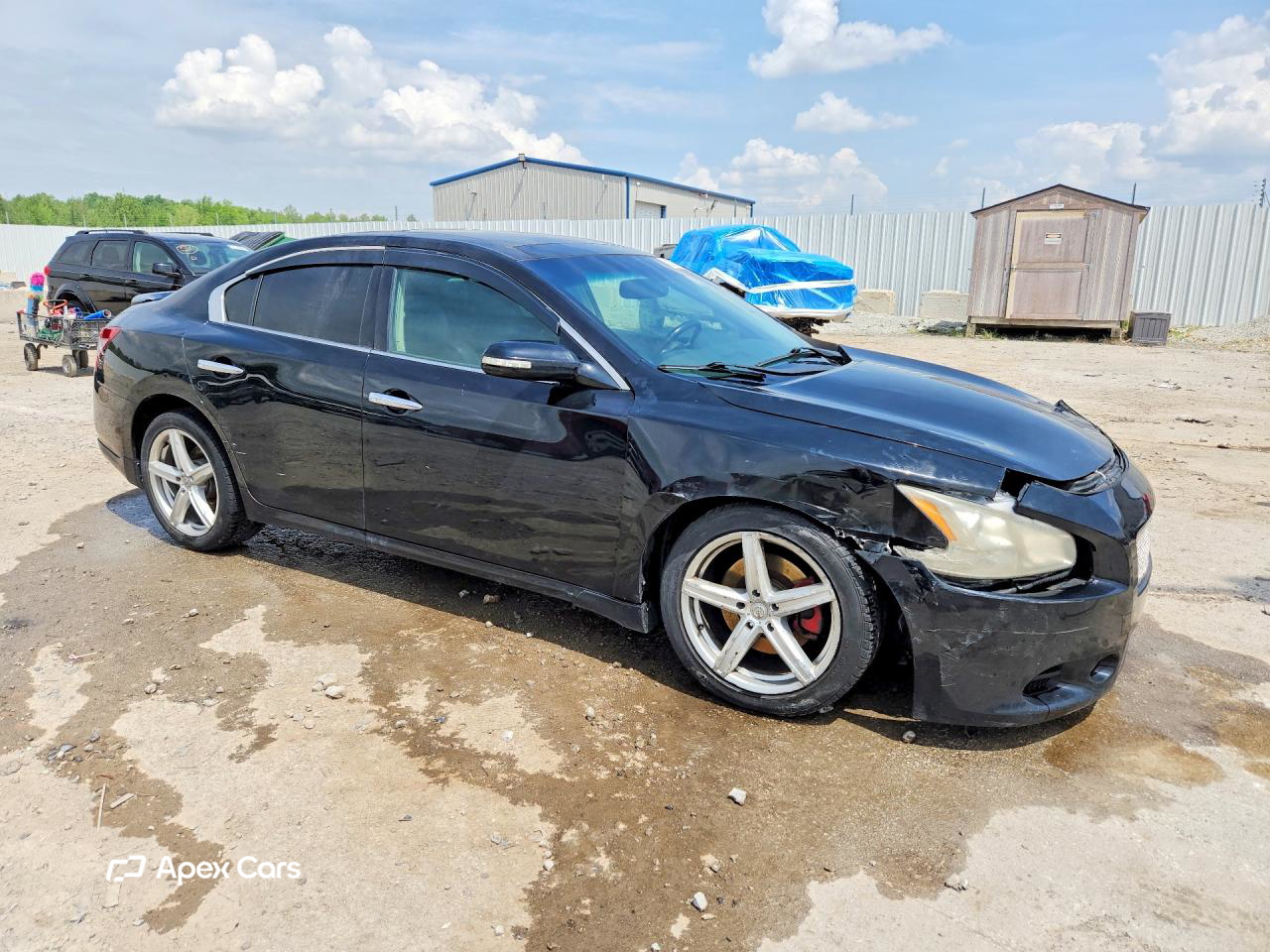 Nissan Maxima 2011