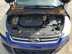 Ford Escape 2013