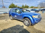 Ford Escape 2010
