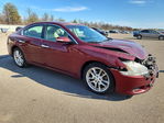 Nissan Maxima 2011