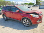 Ford Escape 2014