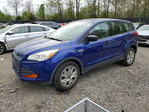 Ford Escape 2015